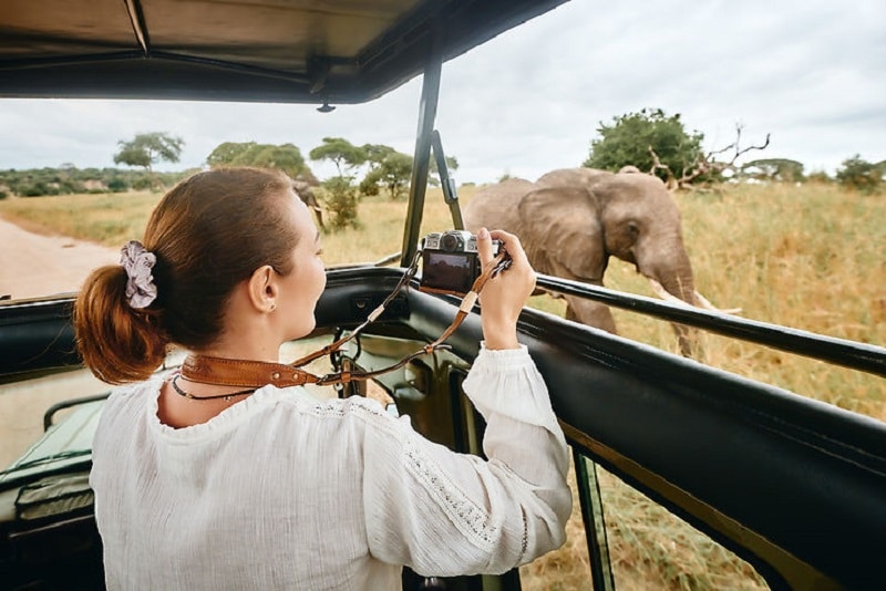 Quel budget prévoir pour faire un safari au Kenya