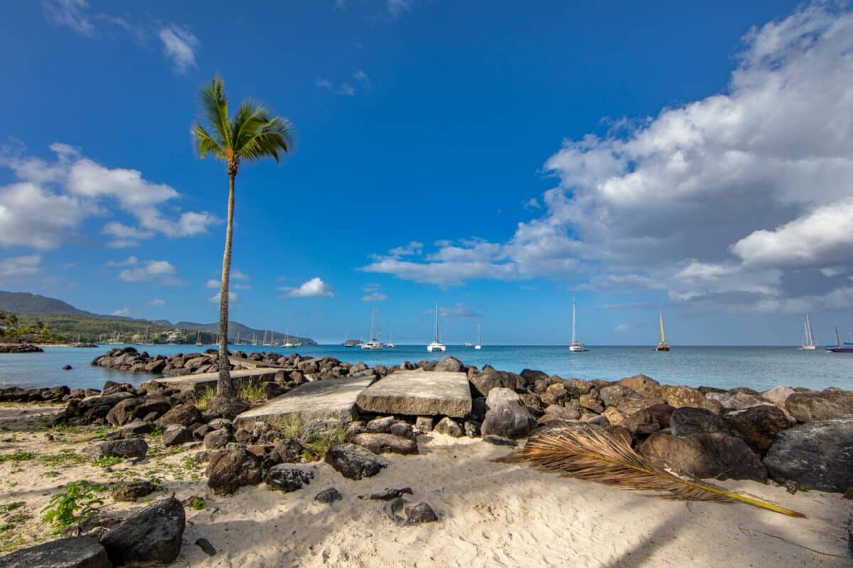 location véhicule en Martinique pour les déplacements