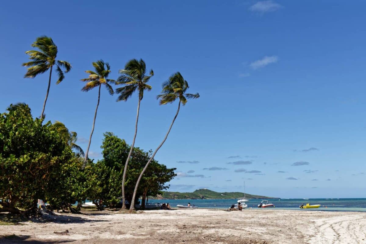 découvrir les plus belles plages de Martinique