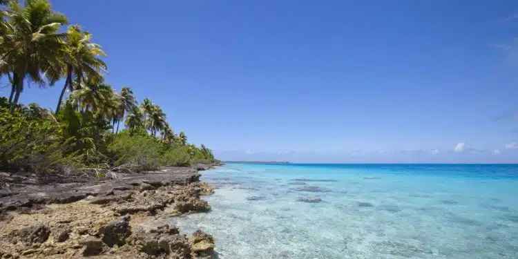 déménager à La Réunion